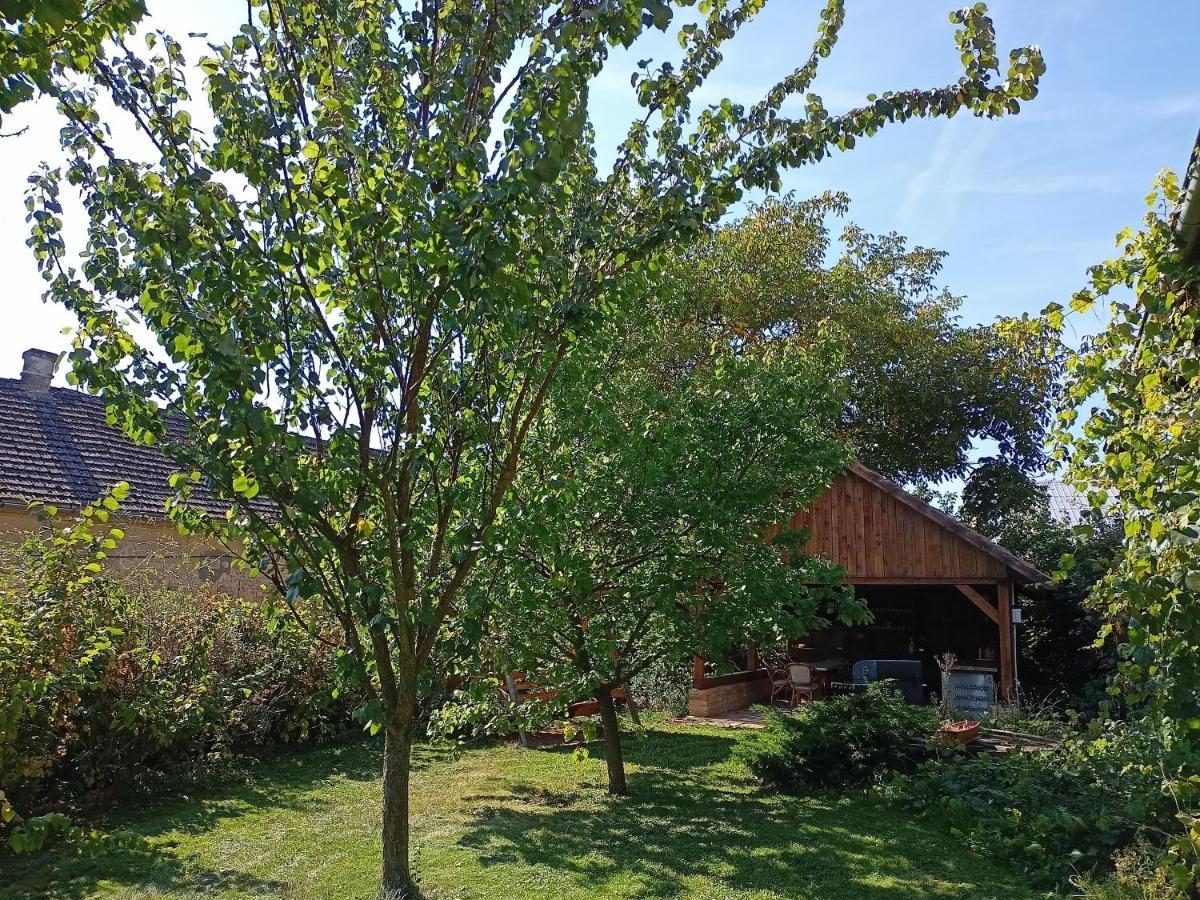 Bohemica 4 *